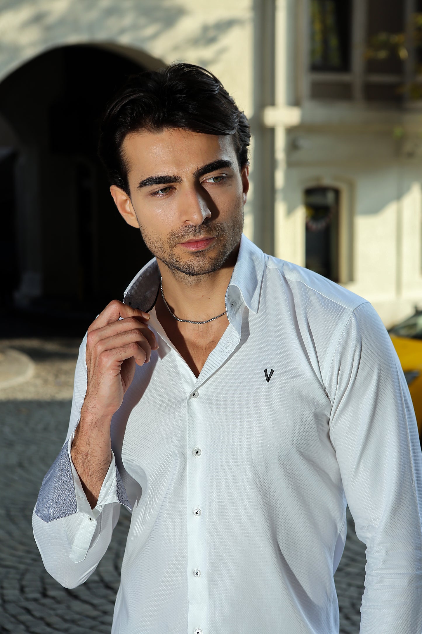 Elegant White High Collar Dress Shirt4