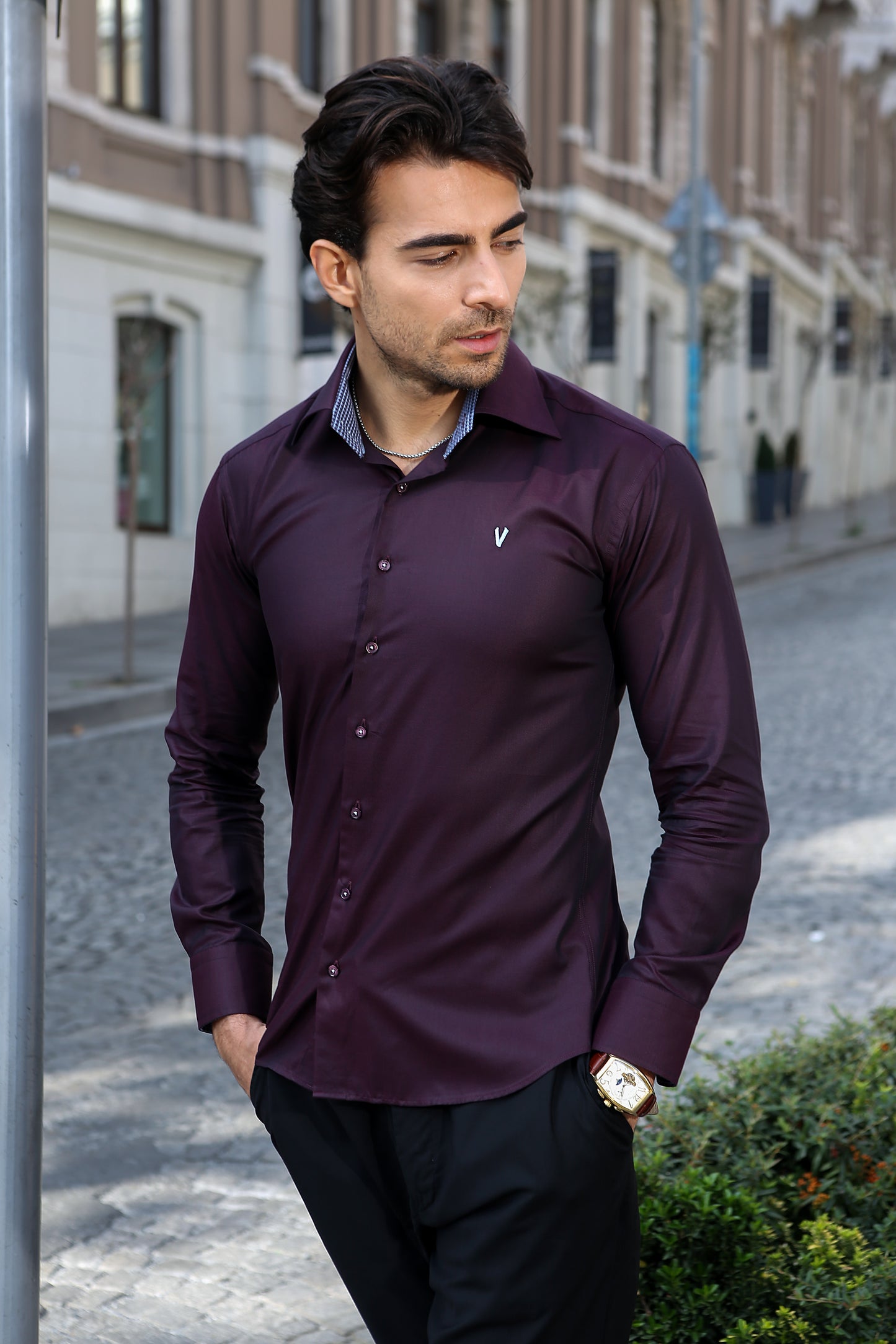 Regal Deep wine High collar Shirt