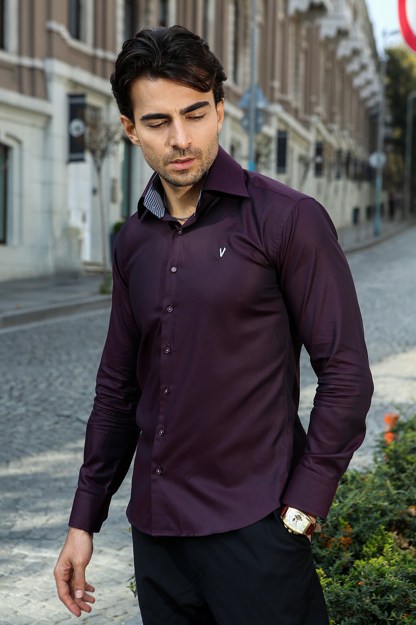 Regal deep wine High collar shirt2