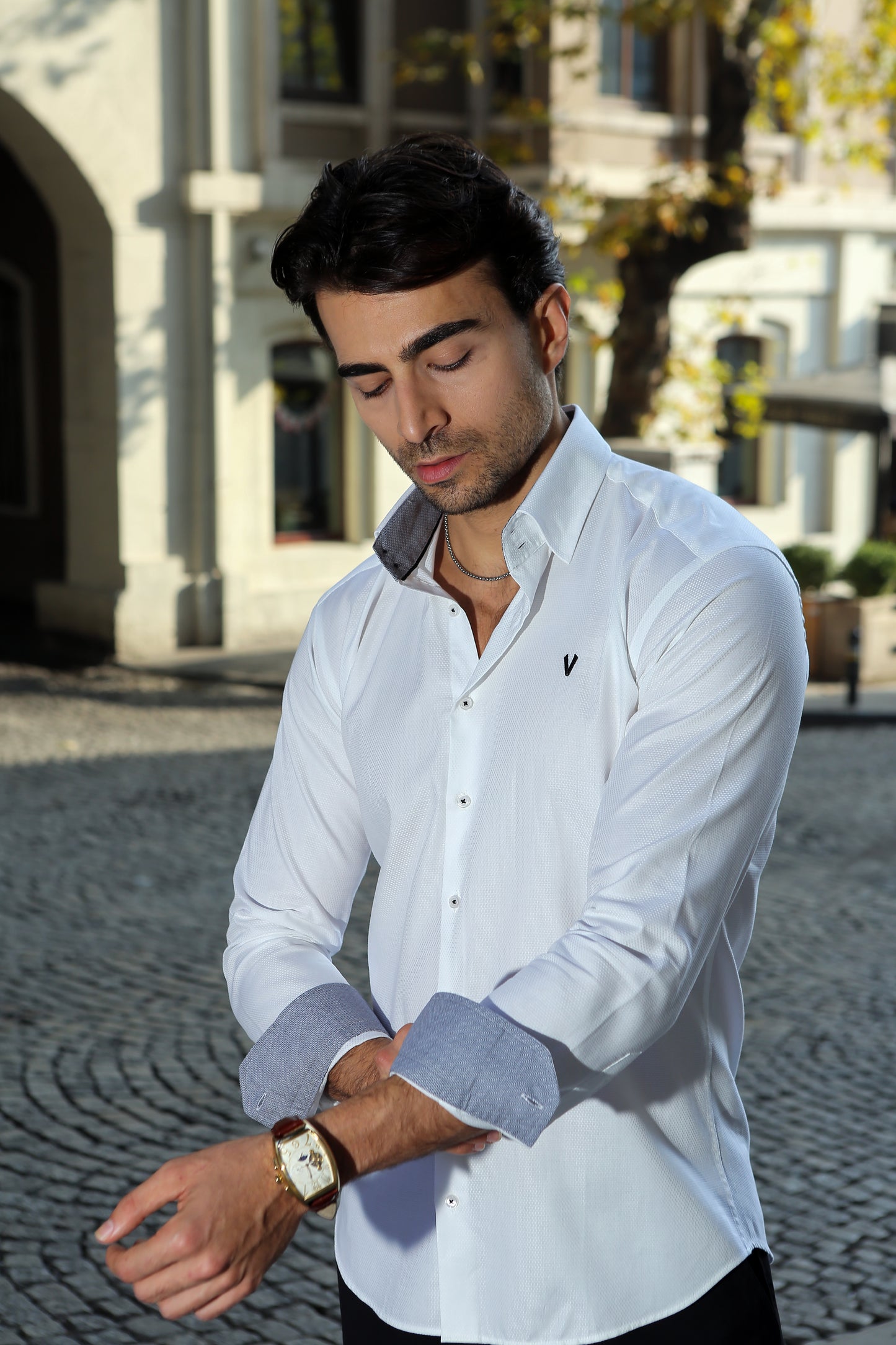 Elegant White High Collar Dress Shirt2